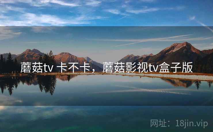 蘑菇tv 卡不卡，蘑菇影视tv盒子版