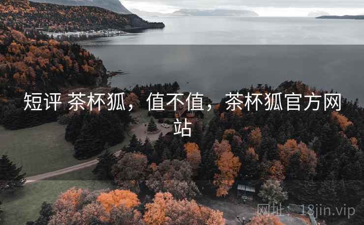 短评 茶杯狐，值不值，茶杯狐官方网站